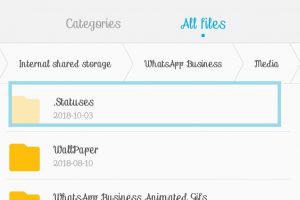 Download whatsapp status media