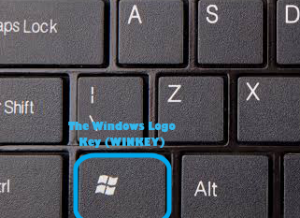Windows Logo Key Winkey