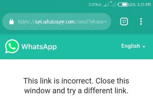 WhatsApp API Window Error