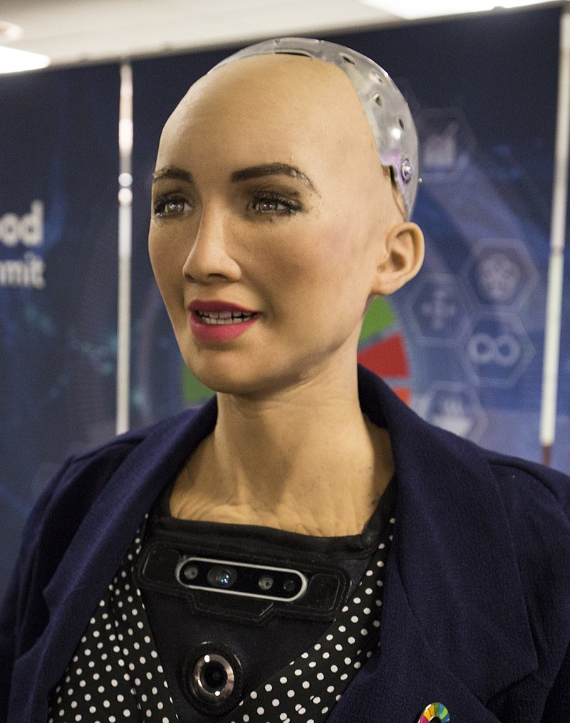 Sophia The AI Humanoid Robot