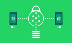 Home 24 Secure-Whatsapp