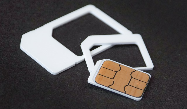 eSIM different SIM card sizes